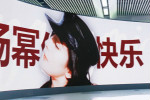 杨幂